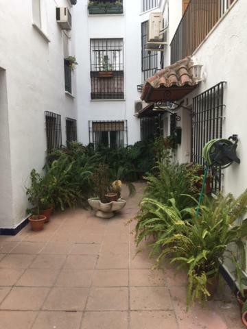 El Rincon De La Juderia Córdoba Exterior foto